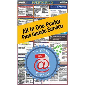 Puerto Rico All In One Poster + 1 Year E-Update Service - Spanish